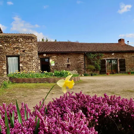 別荘 Ecoresponsable Avec 4 Chambres, Terrasse Et Activites, Proche Lpo, Chauffage Au Sol - Fr-1-426-486 *