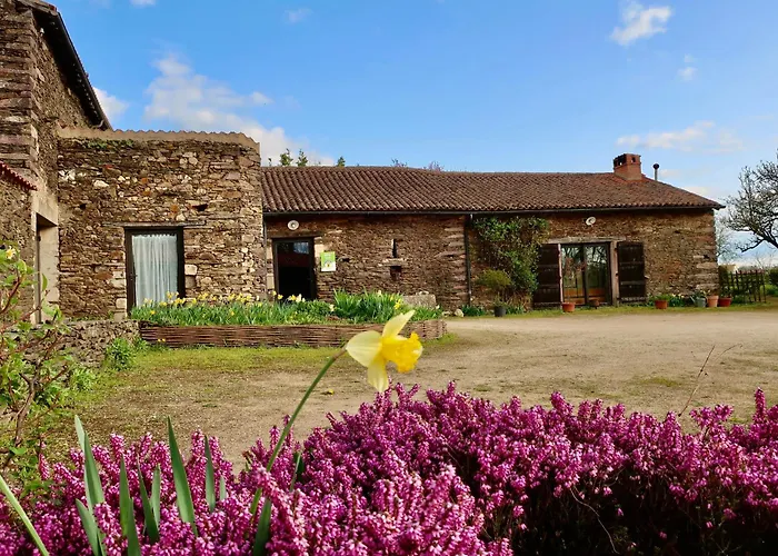 بيت للعطل Ecoresponsable Avec 4 Chambres, Terrasse Et Activites, Proche Lpo, Chauffage Au Sol - Fr-1-426-486 *