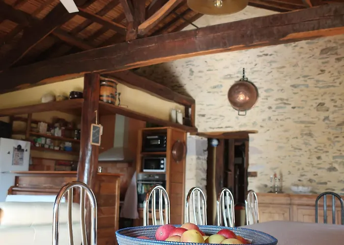 Ecoresponsable Avec 4 Chambres, Terrasse Et Activites, Proche Lpo, Chauffage Au Sol - Fr-1-426-486 * La Tardiere