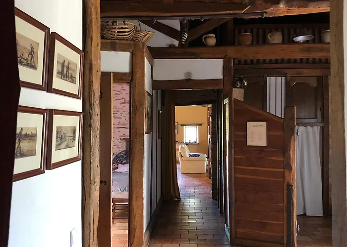 Ecoresponsable Avec 4 Chambres, Terrasse Et Activites, Proche Lpo, Chauffage Au Sol - Fr-1-426-486 بيت للعطل